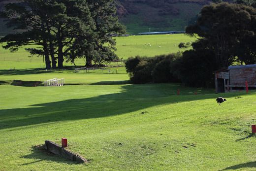 Tee off at no 8
